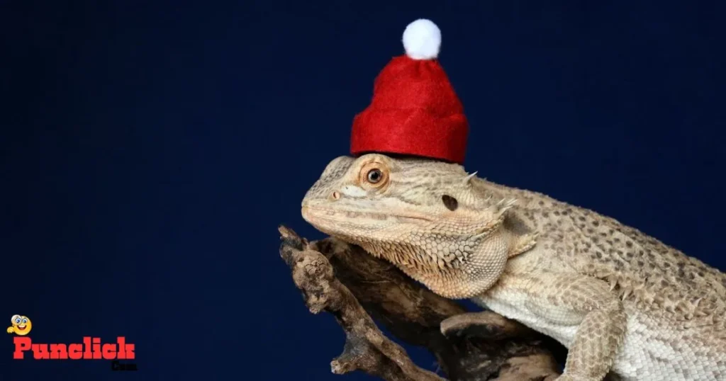 Christmas Reptile Puns