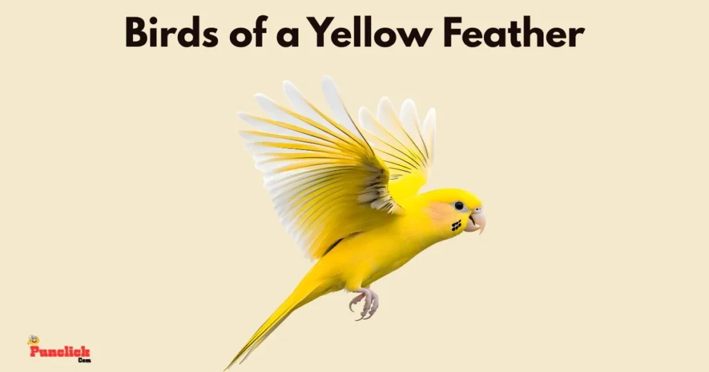 Birds Of A Yellow Feather