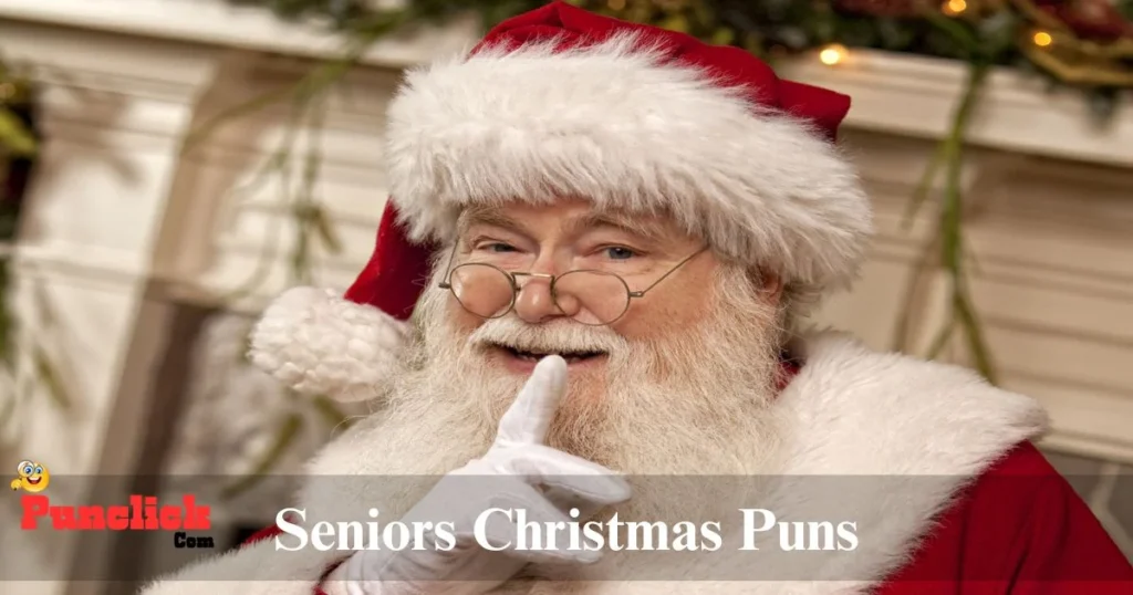 Seniors Christmas Puns