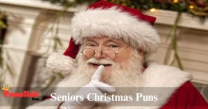 Seniors Christmas Puns