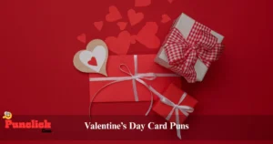 Valentines Day Card Puns