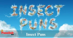 Insect Puns