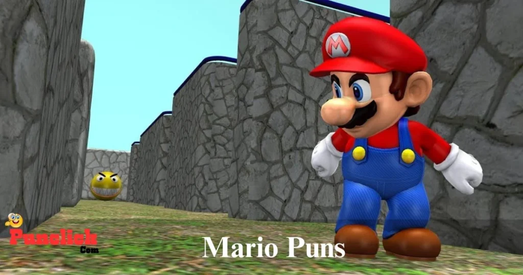Mario Puns
