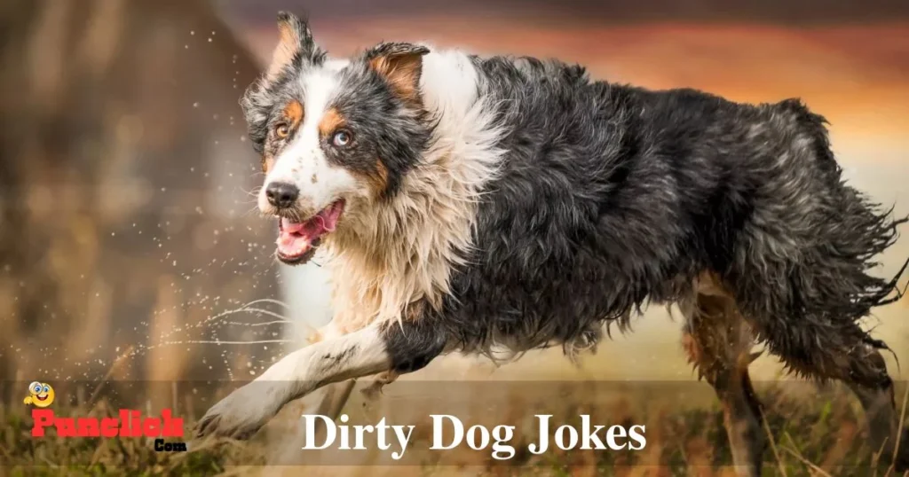 Dirty Dog Jokes