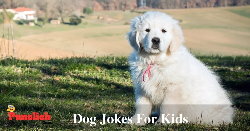 Dog Jokes For Kids