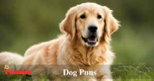 Dog Puns