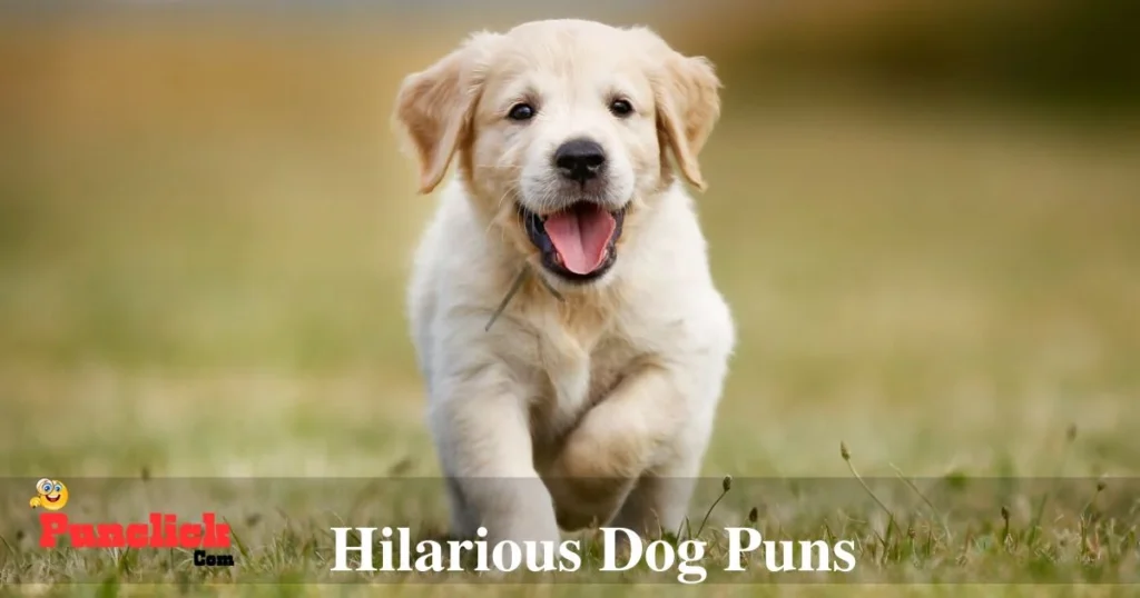 Hilarious Dog Puns