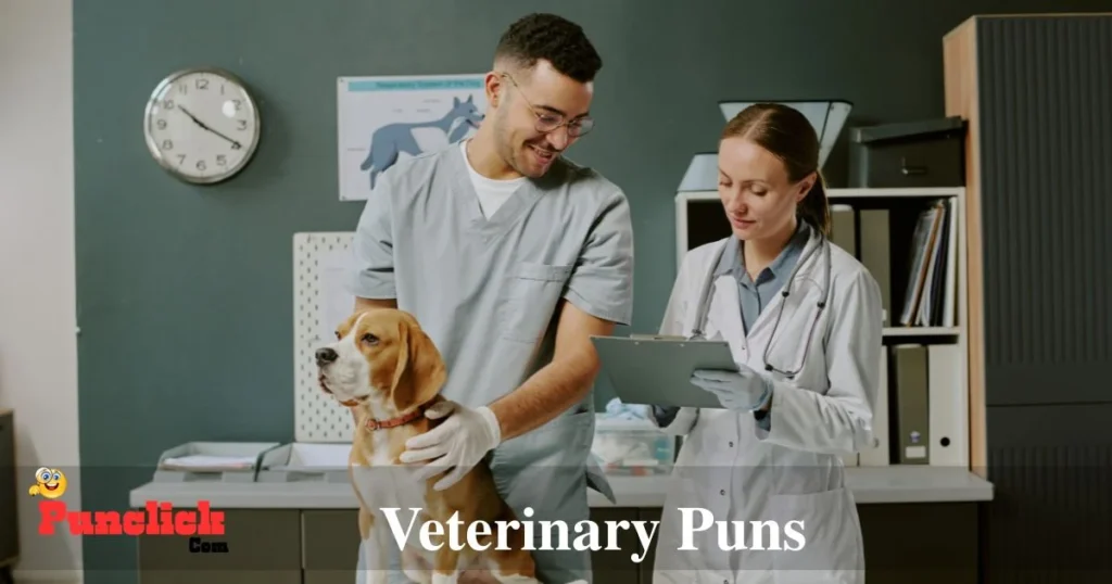 Veterinary Puns