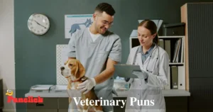 Veterinary Puns